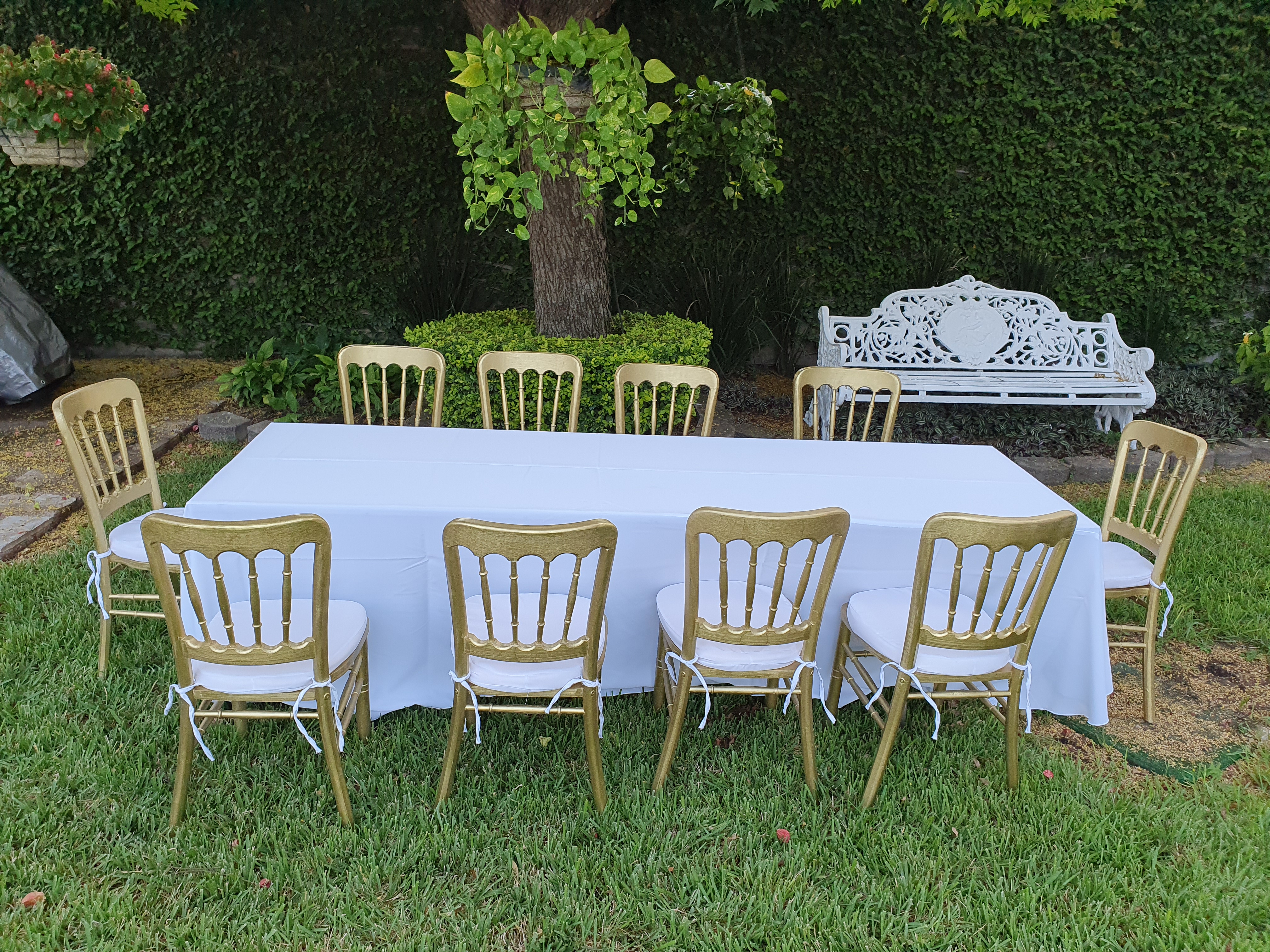 Mesa Rectangular renta en Monterrey